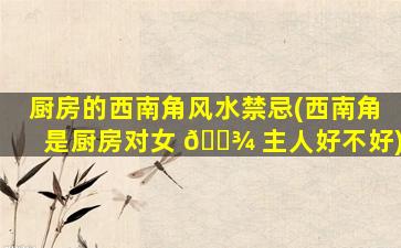 厨房的西南角风水禁忌(西南角是厨房对女 🌾 主人好不好)